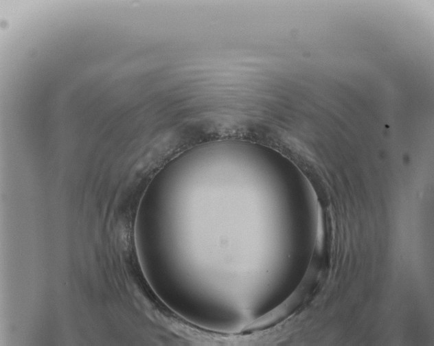 X0000073720039200608101915