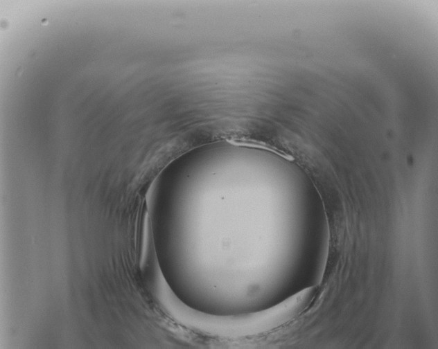 X0000073720041200608101915