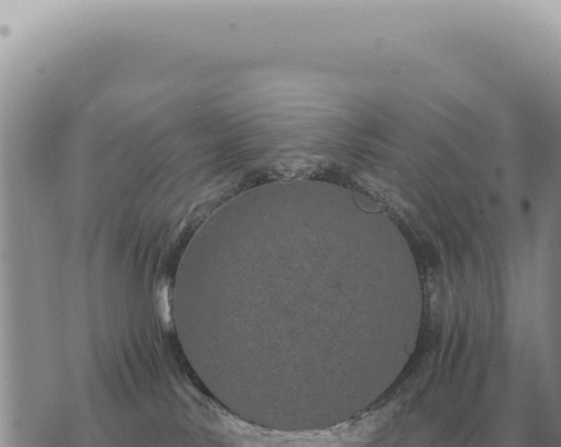 X0000073720042200608101915