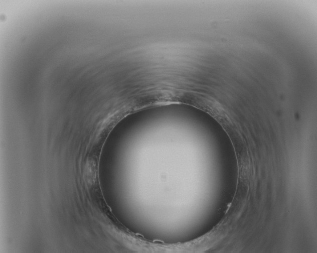 X0000073720043200608101915