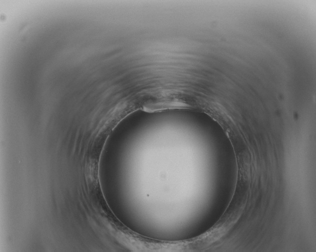 X0000073720044200608101915