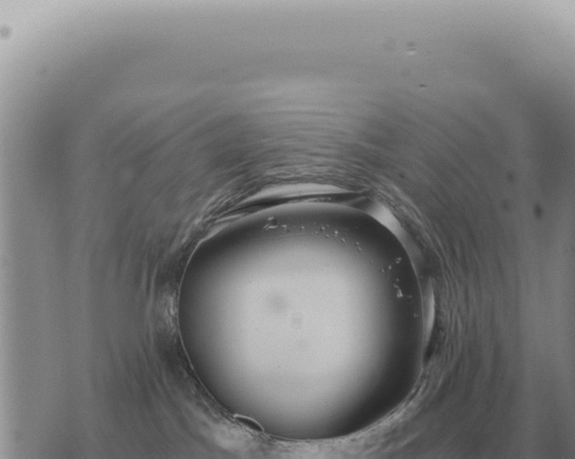 X0000073720045200608101915