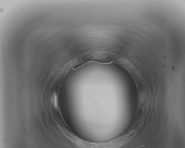 X0000073720046200608101915