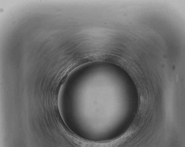 X0000073720048200608101915