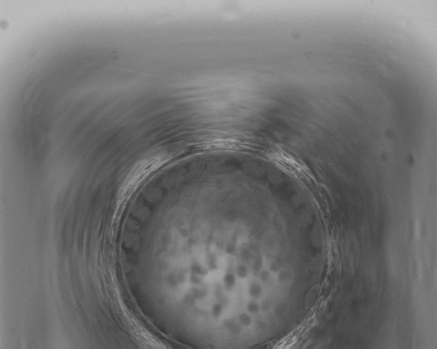 X0000073720049200608101914