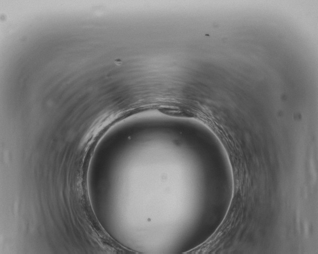 X0000073720050200608101914