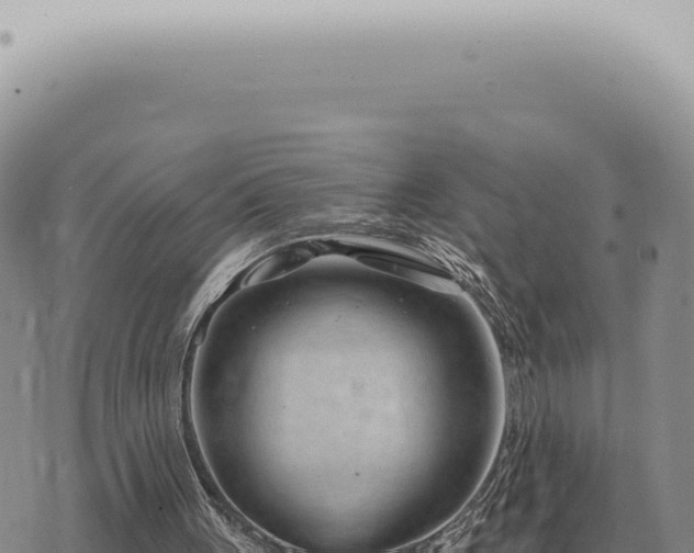 X0000073720051200608101914