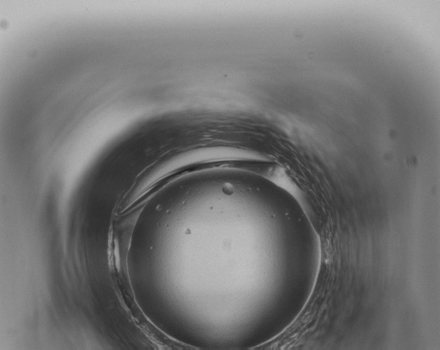 X0000073720052200608101914