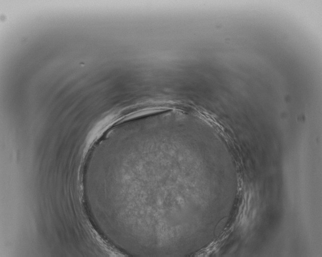 X0000073720053200608101914