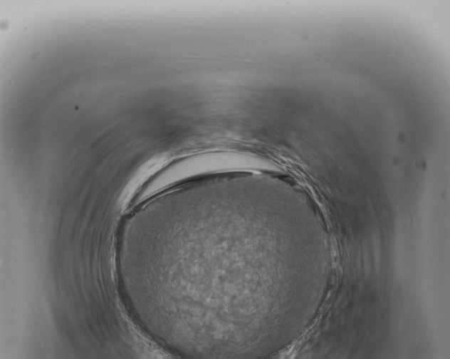 X0000073720054200608101914