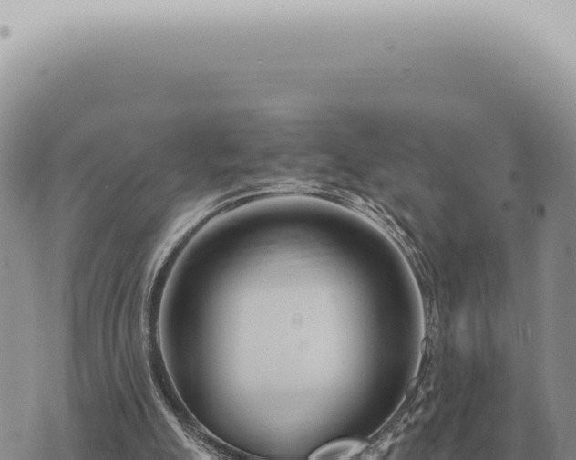 X0000073720055200608101914