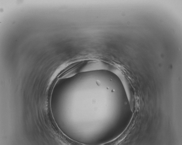 X0000073720056200608101914