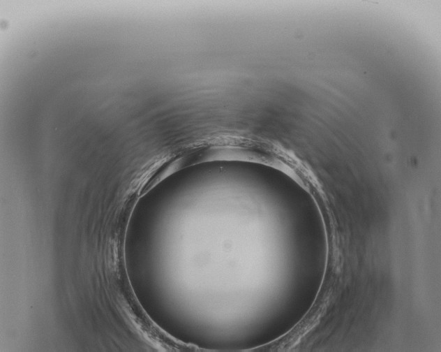 X0000073720057200608101914