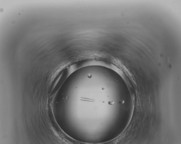 X0000073720058200608101914