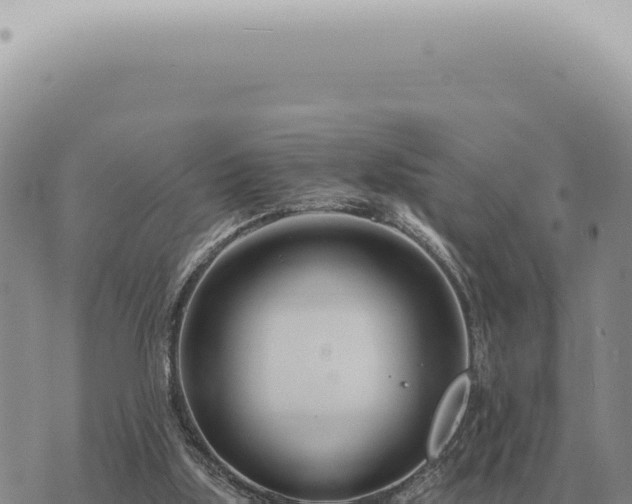 X0000073720059200608101914