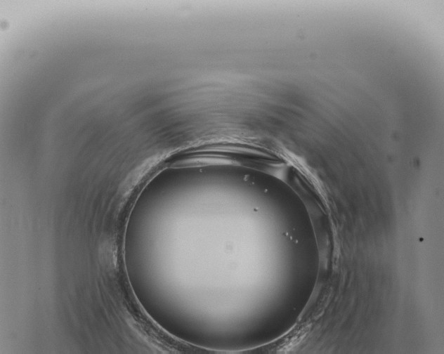 X0000073720060200608101914