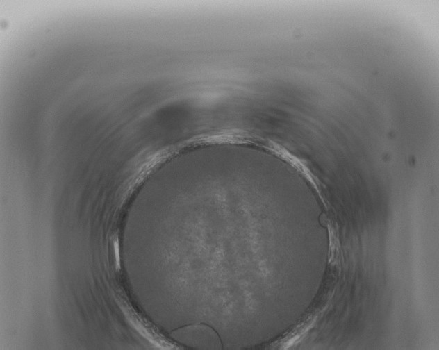 X0000073720061200608101914