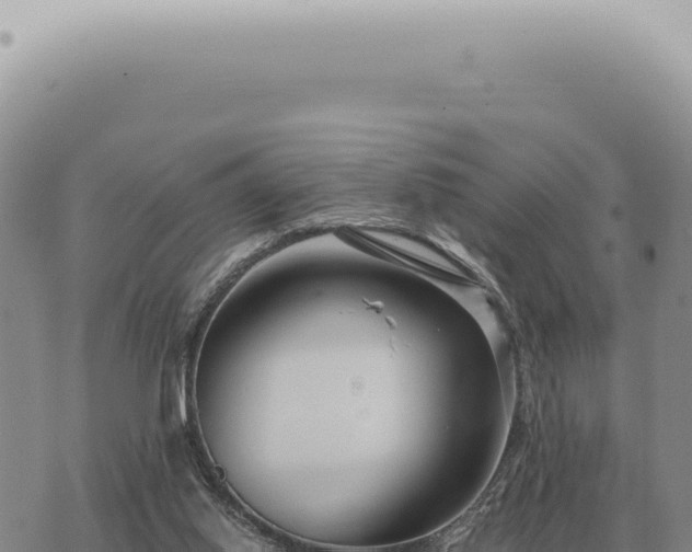 X0000073720062200608101914