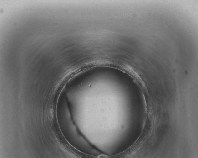 X0000073720063200608101914