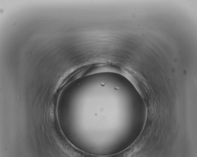 X0000073720064200608101914