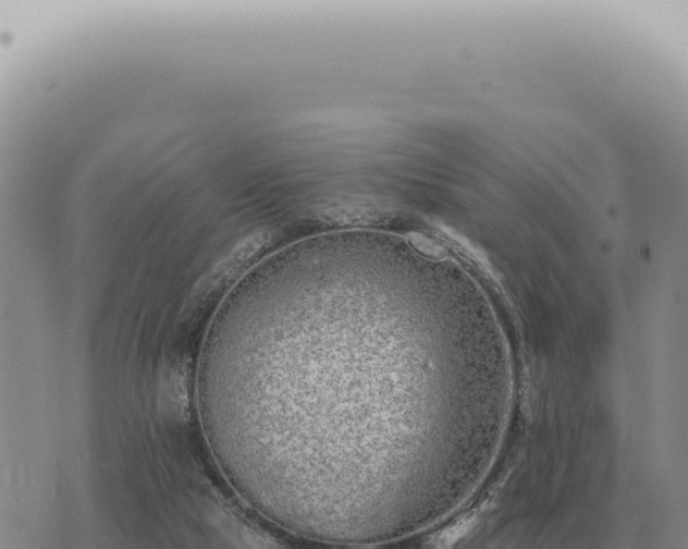 X0000073720065200608101914