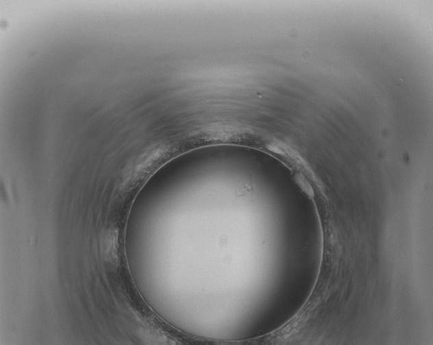 X0000073720066200608101914