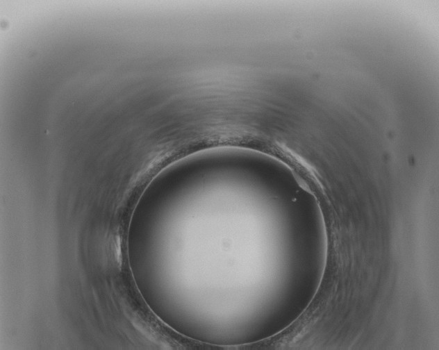 X0000073720067200608101914