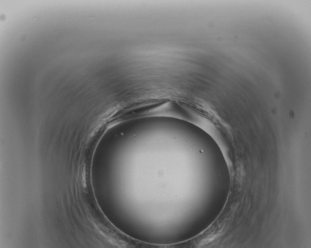 X0000073720068200608101914