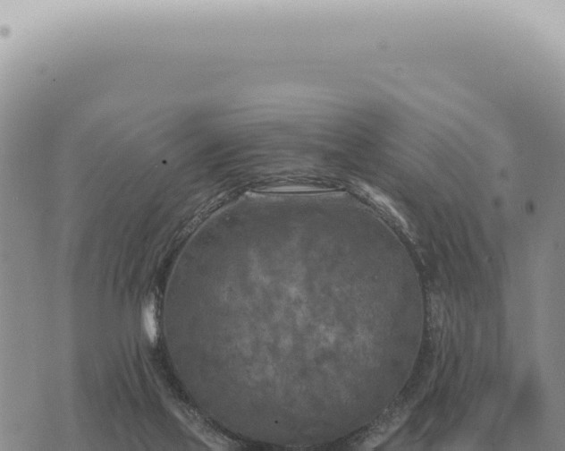 X0000073720069200608101914