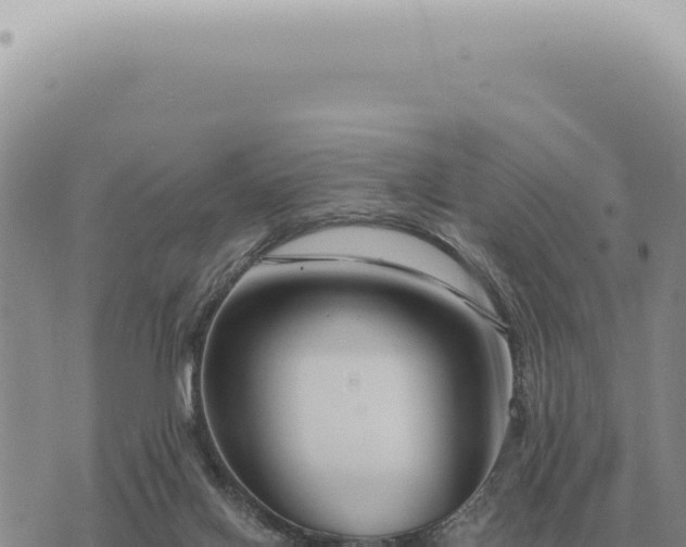 X0000073720070200608101914