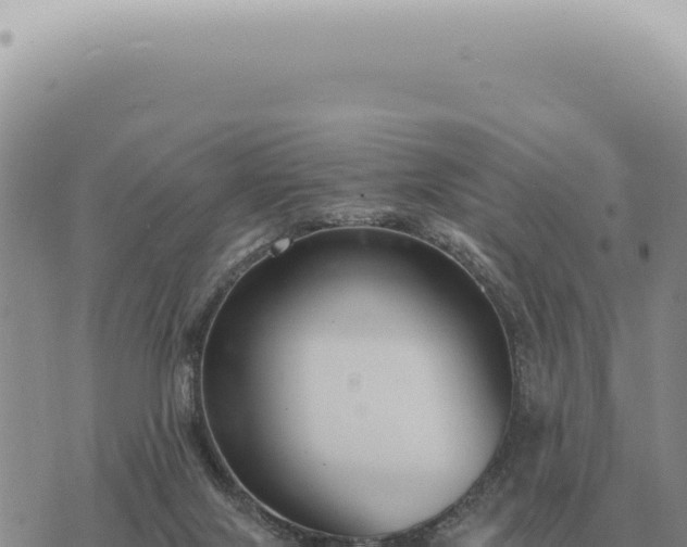 X0000073720071200608101914