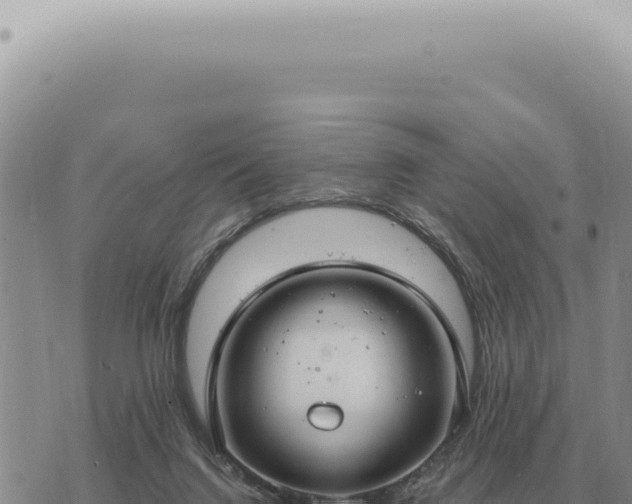 X0000073720072200608101914