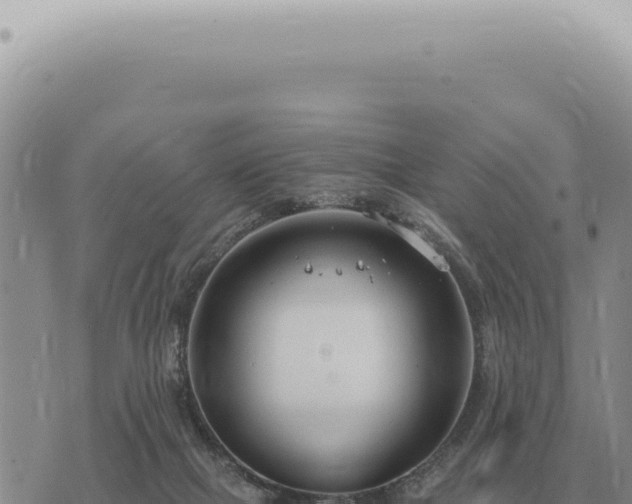 X0000073720073200608101914