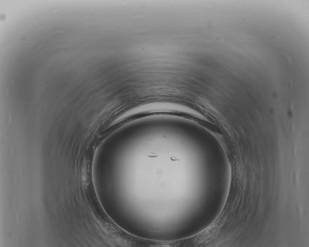 X0000073720074200608101914