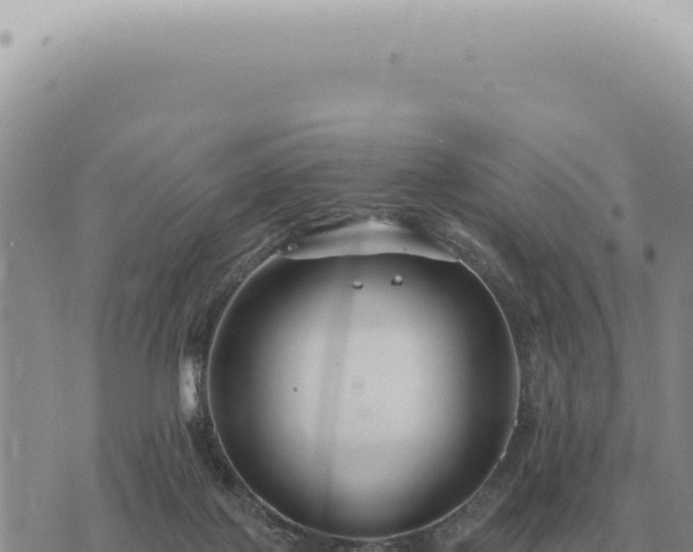 X0000073720075200608101914