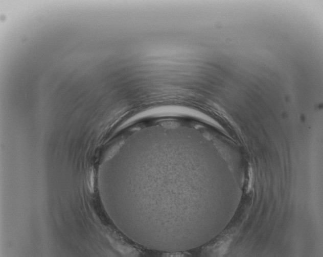 X0000073720076200608101914