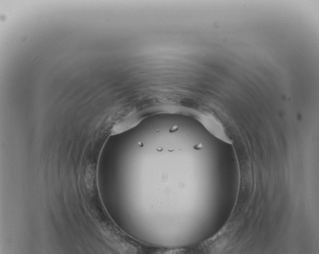 X0000073720078200608101915