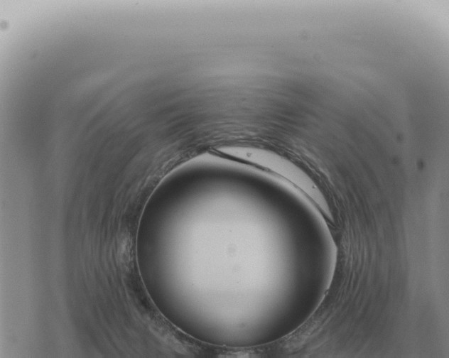 X0000073720079200608101915