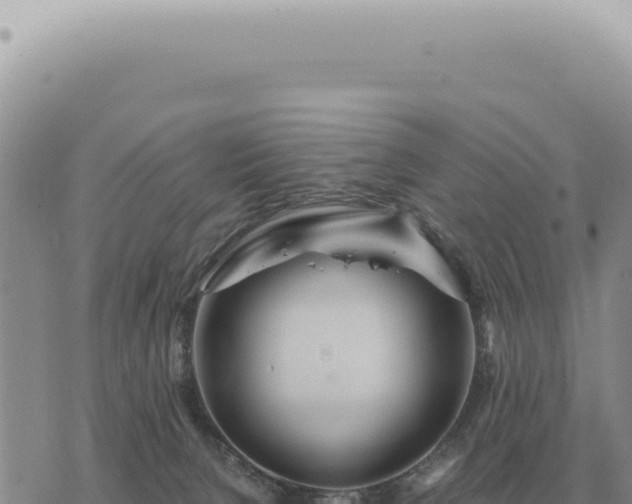 X0000073720080200608101915