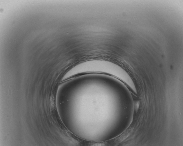 X0000073720081200608101915