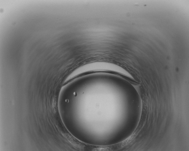 X0000073720082200608101915