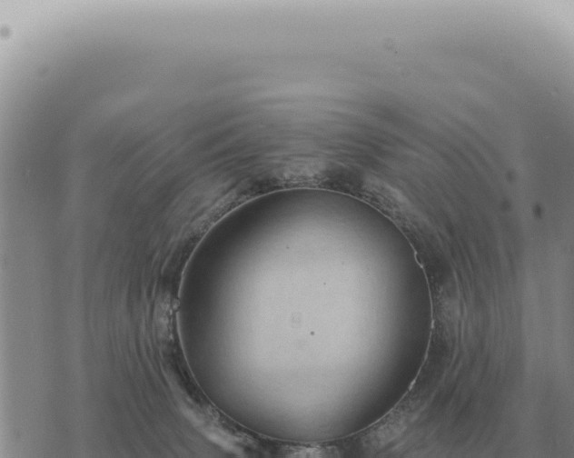 X0000073720083200608101915