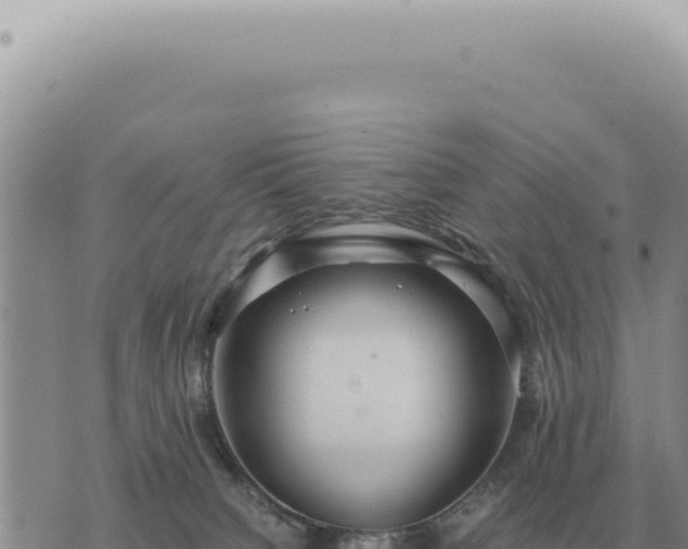 X0000073720084200608101915