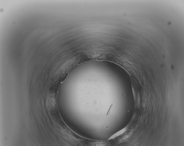 X0000073720085200608101915