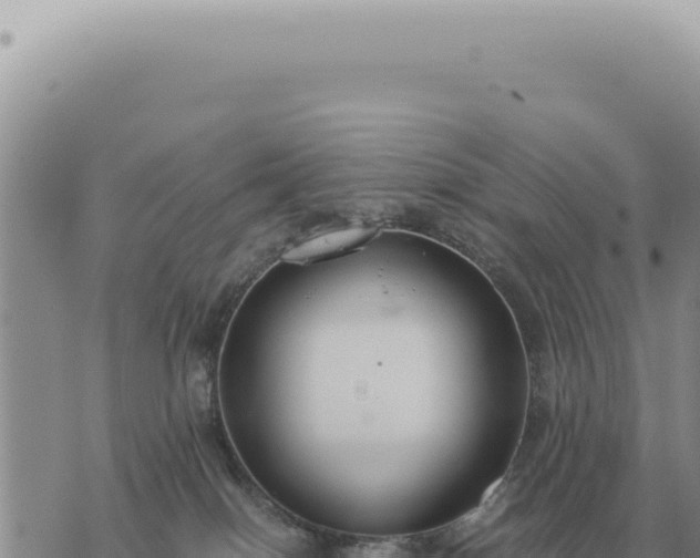 X0000073720086200608101915