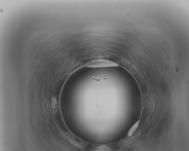 X0000073720087200608101915