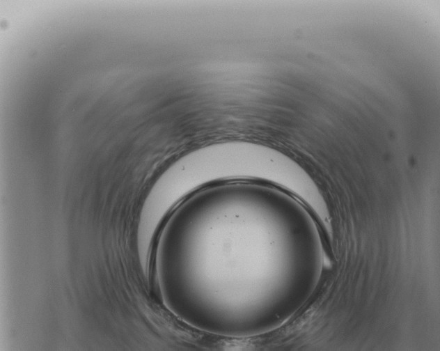 X0000073720088200608101915