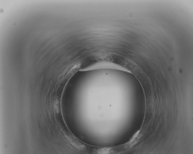 X0000073720090200608101915