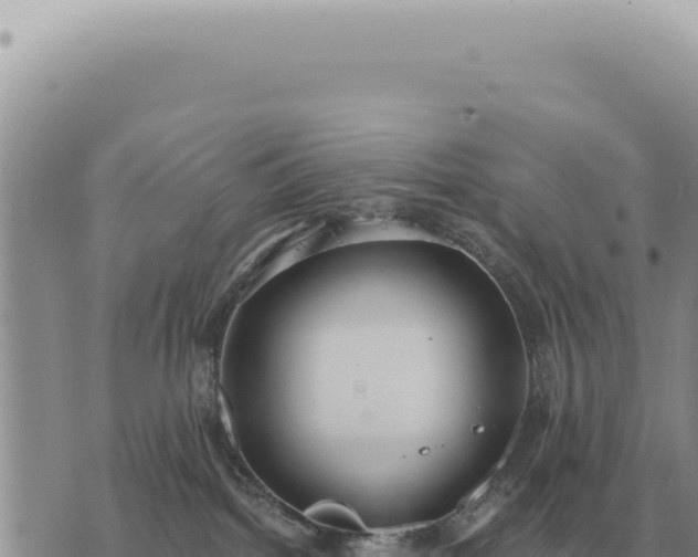 X0000073720092200608101915