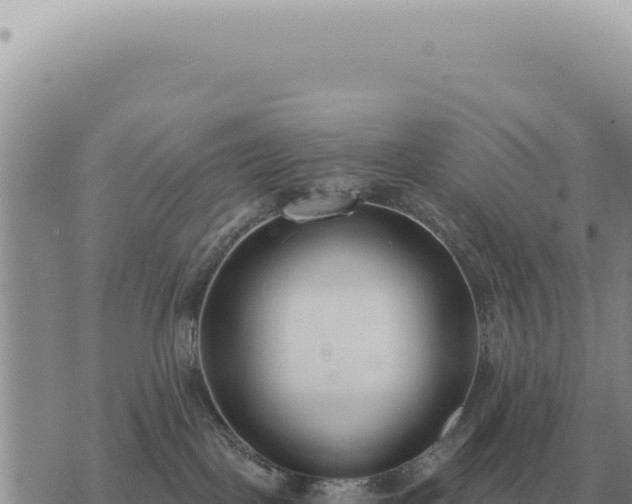 X0000073720093200608101915